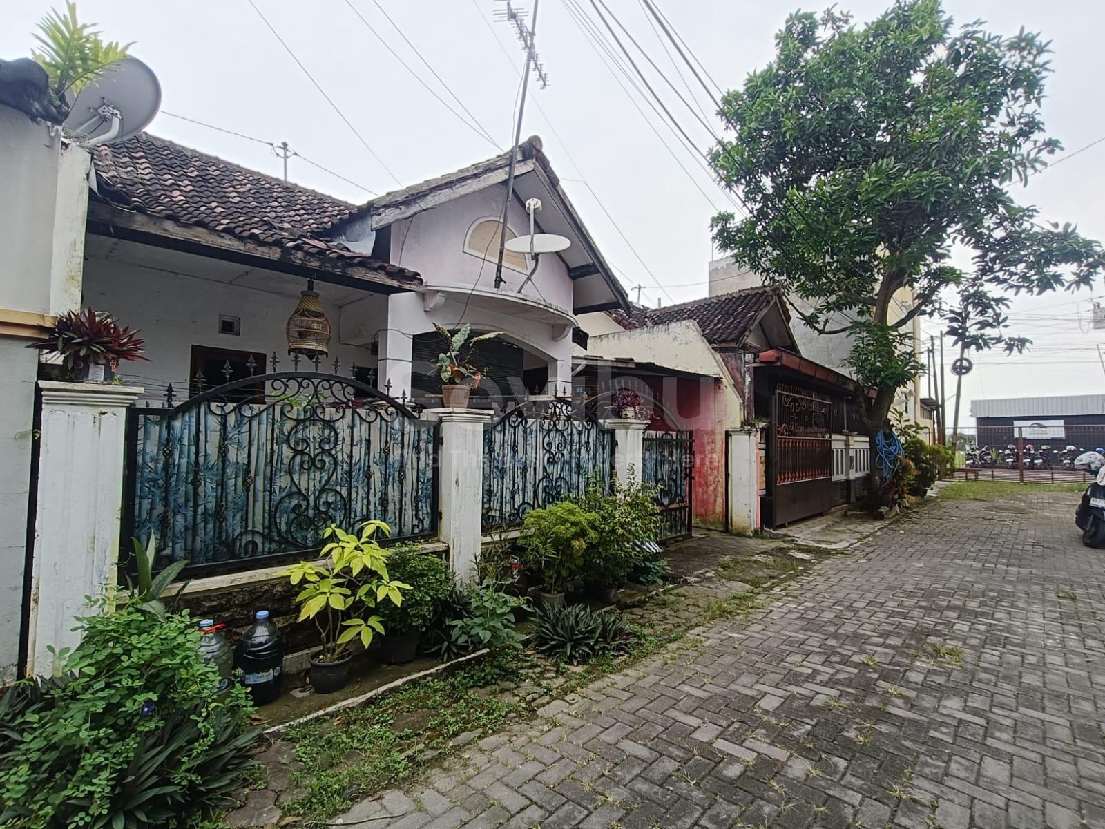 WhatsApp-Image-2026-01-27-at-13.54.31