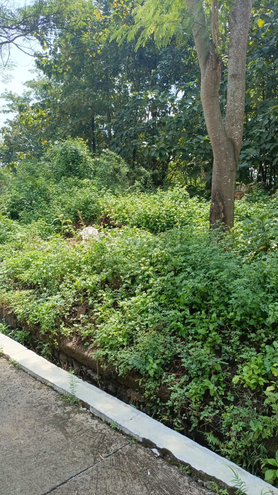 WhatsApp Image 2026-01-28 at 12.06.01 (2)