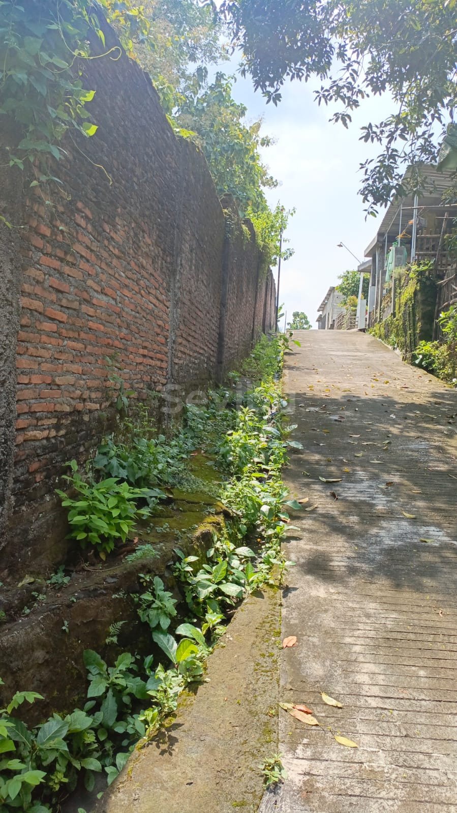 WhatsApp Image 2026-01-28 at 12.06.01