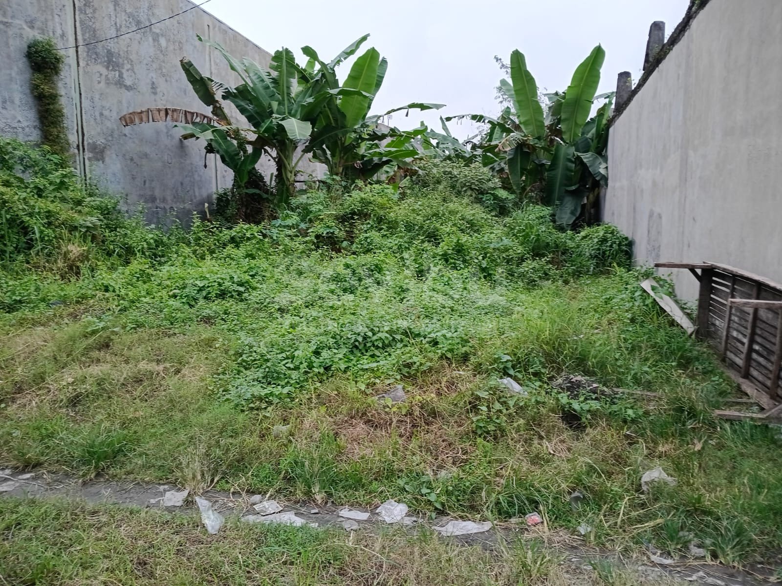 WhatsApp Image 2026-01-31 at 13.43.53