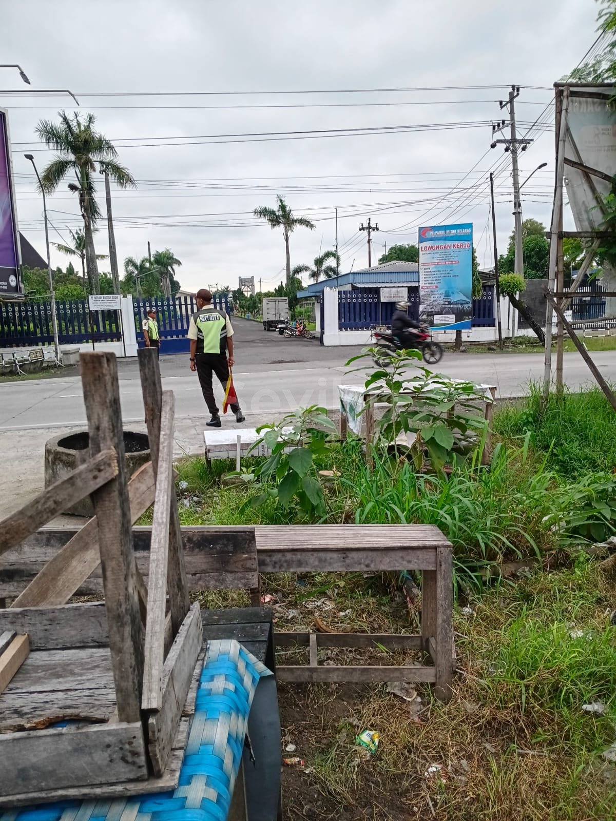 WhatsApp Image 2026-01-31 at 13.43.54