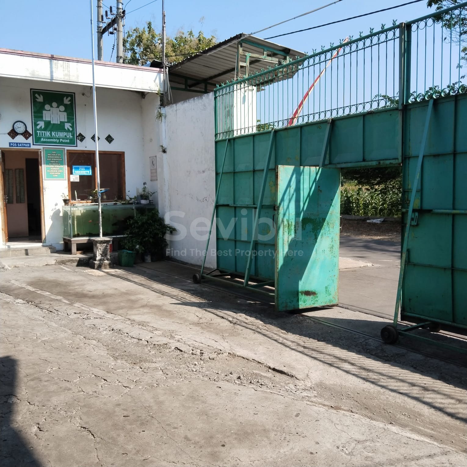 WhatsApp Image 2026-01-31 at 13.53.12