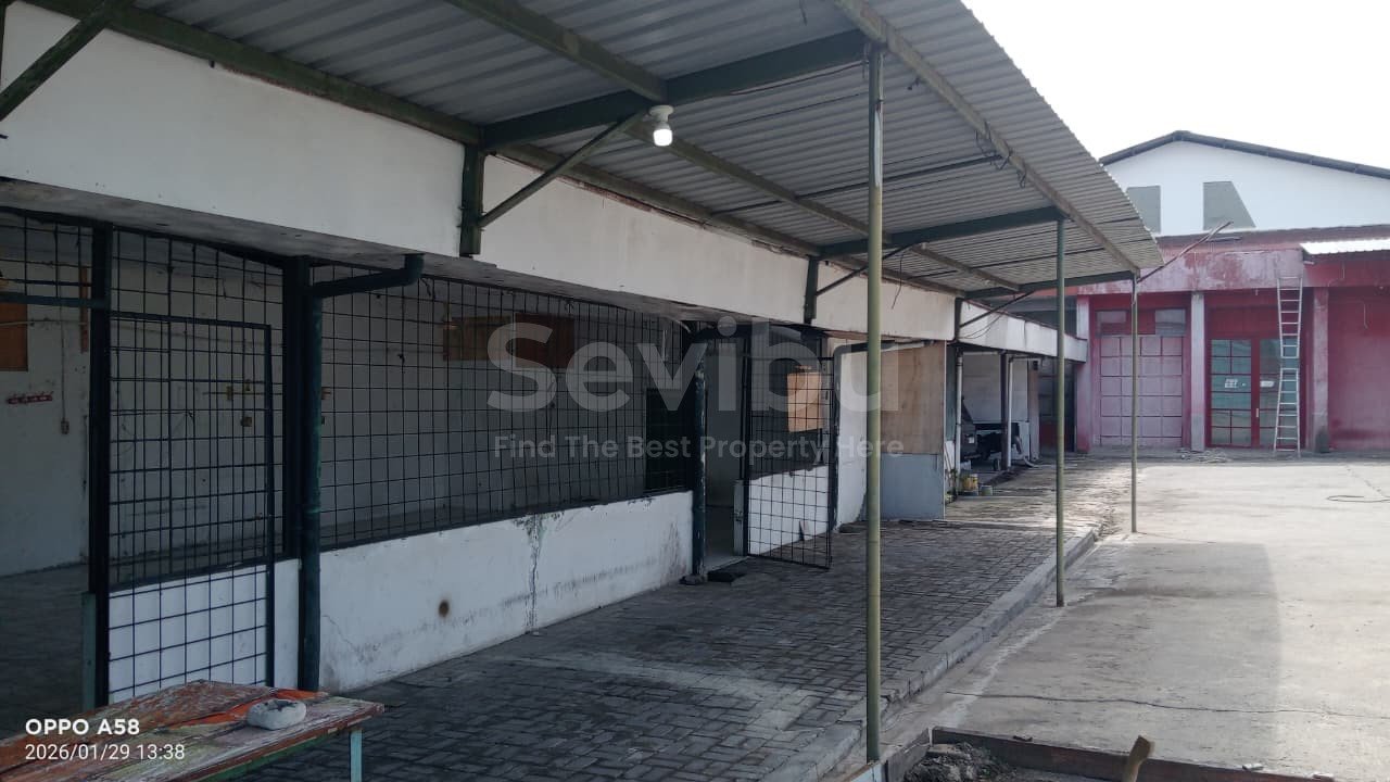 WhatsApp Image 2026-01-31 at 14.40.34