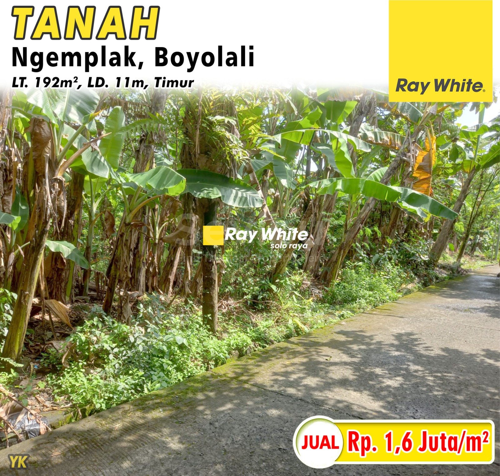 Yanik-Tanah Sadon sawahan ngemplak boyolali. HRg 1,6Jt per m2 (pra listing)