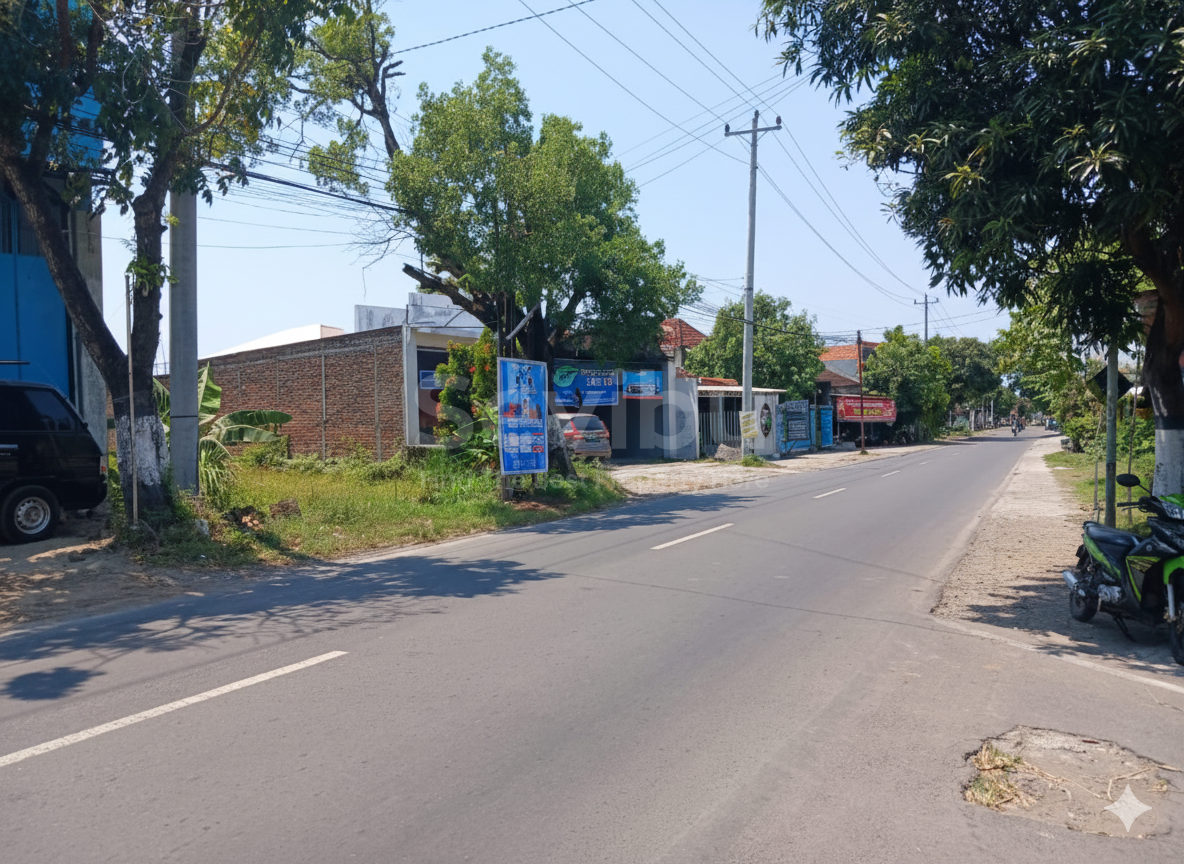 Gemini_Generated_Image_5cab5p5cab5p5cab