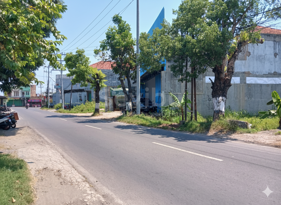 Gemini_Generated_Image_6e71bc6e71bc6e71