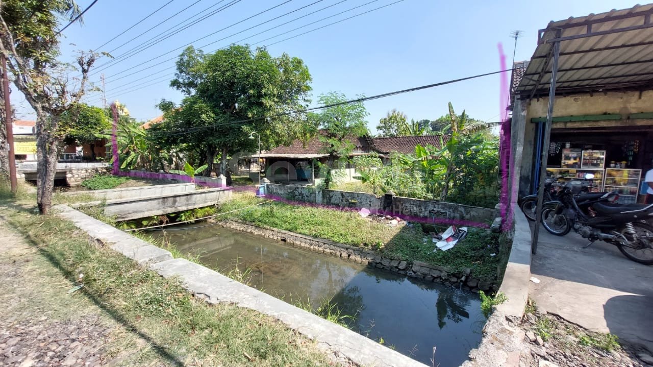 WhatsApp Image 2023-07-28 at 14.20.55