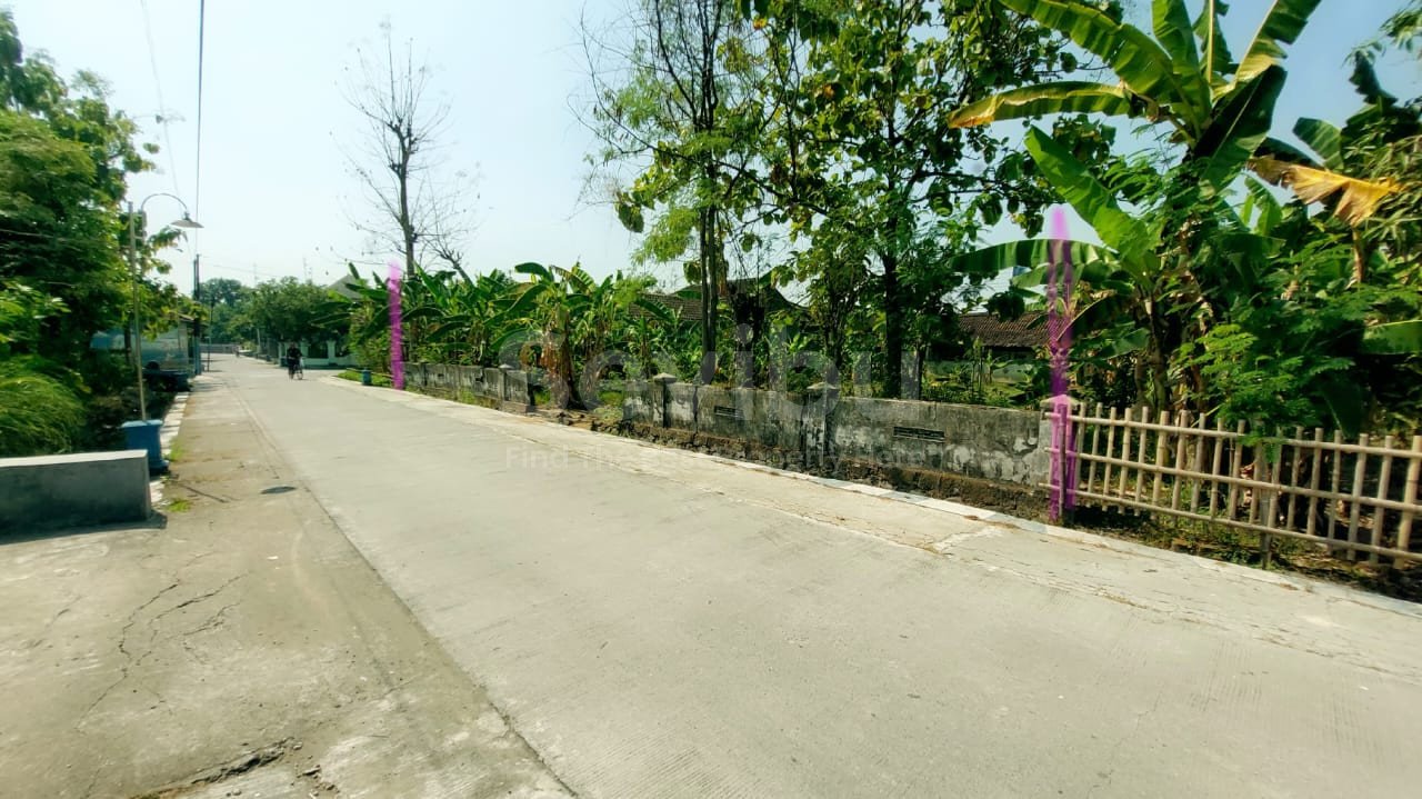 WhatsApp Image 2023-07-28 at 14.20.57