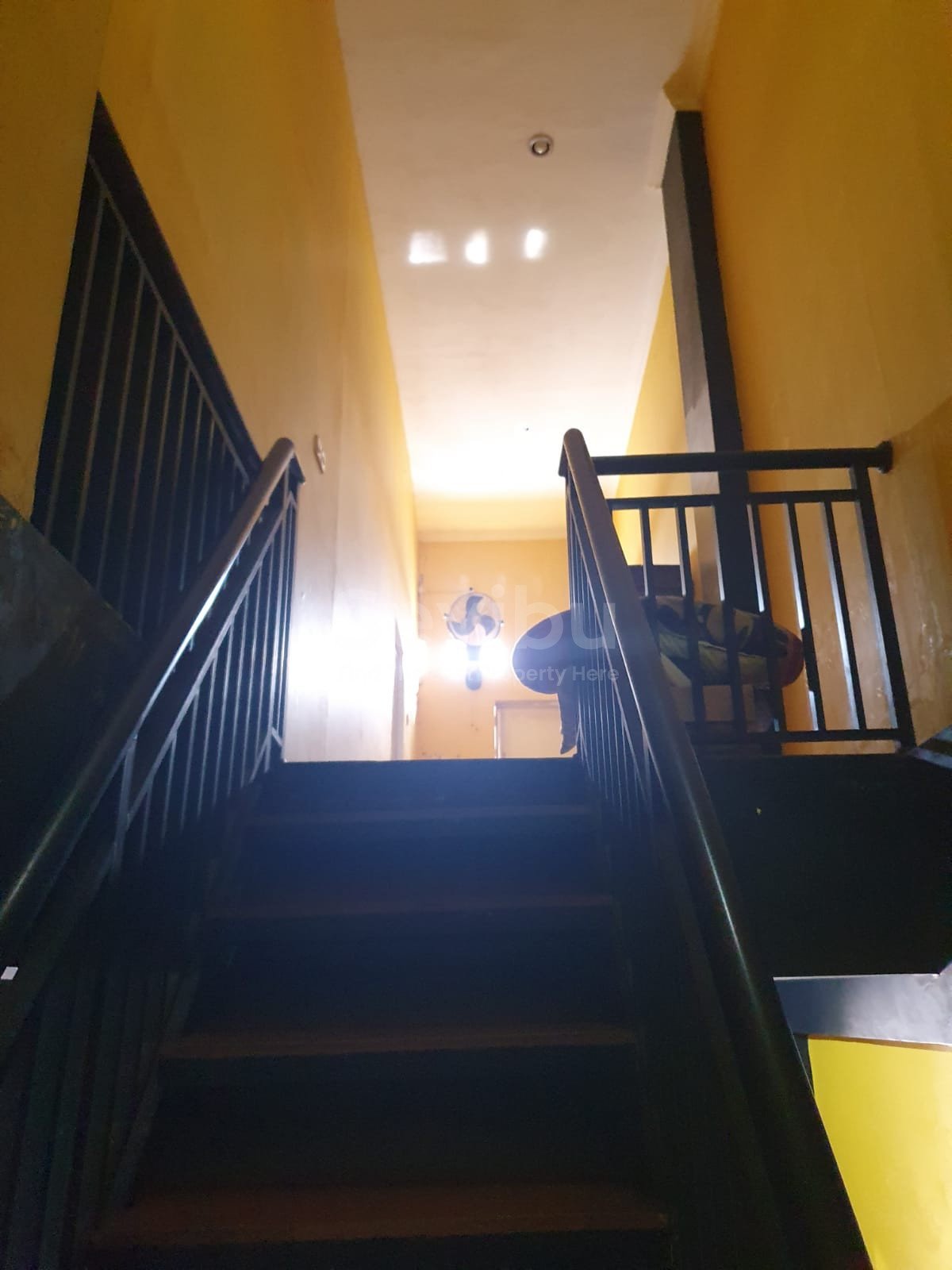 WhatsApp Image 2023-10-31 at 12.34.56 (1)