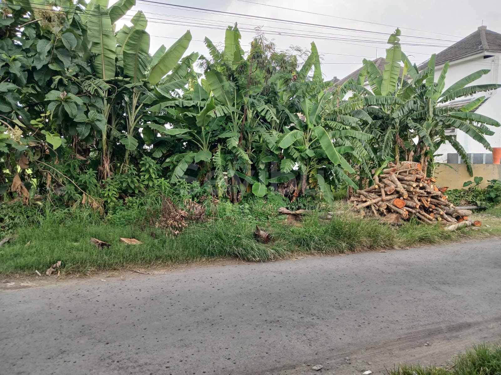 WhatsApp Image 2024-03-21 at 16.01.52 (1)