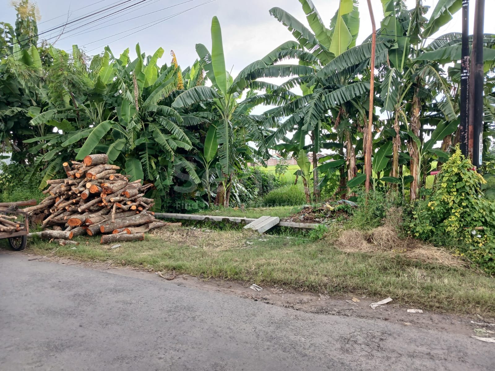 WhatsApp Image 2024-03-21 at 16.01.52 (2)