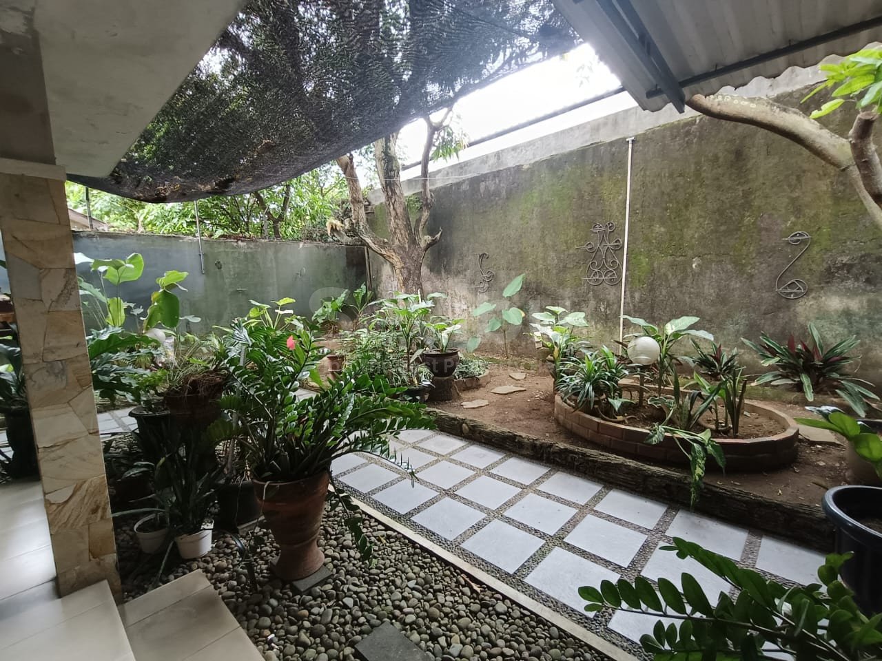 WhatsApp Image 2025-02-15 at 13.45.49 (1)