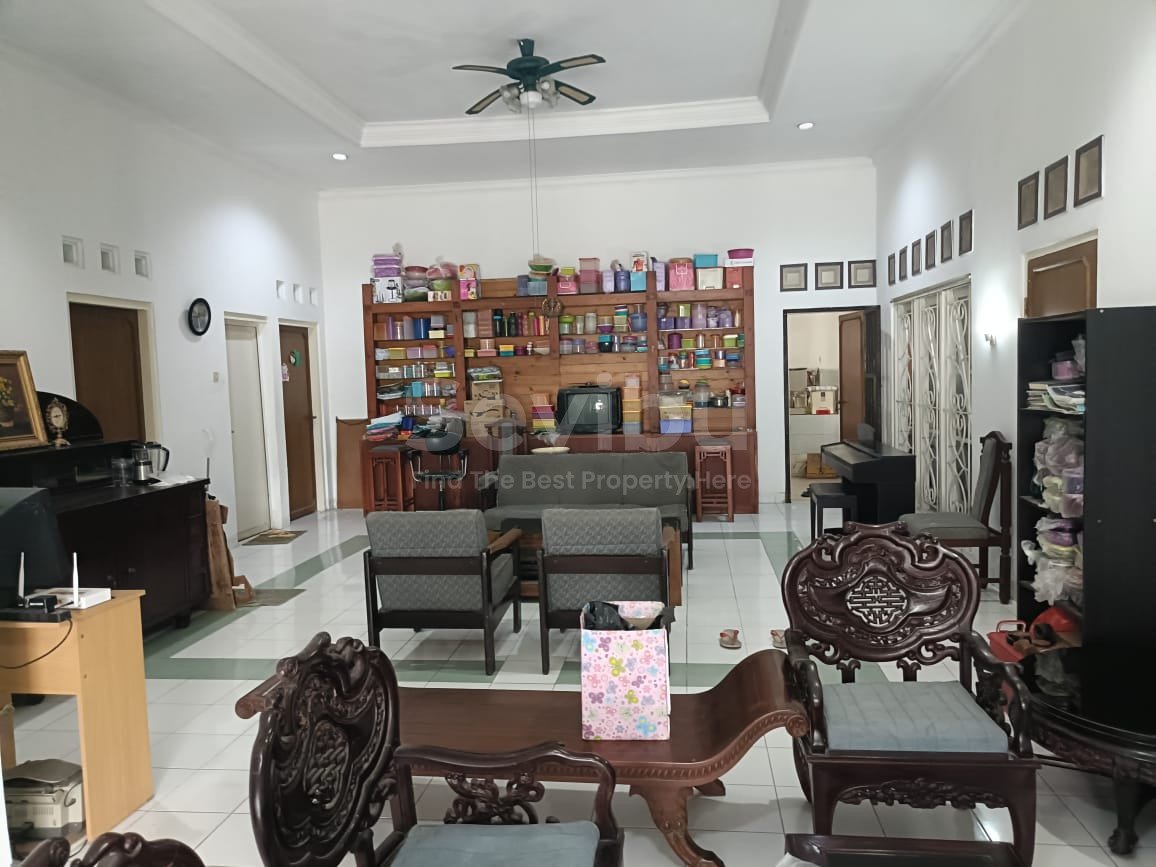 WhatsApp Image 2025-03-01 at 13.34.51