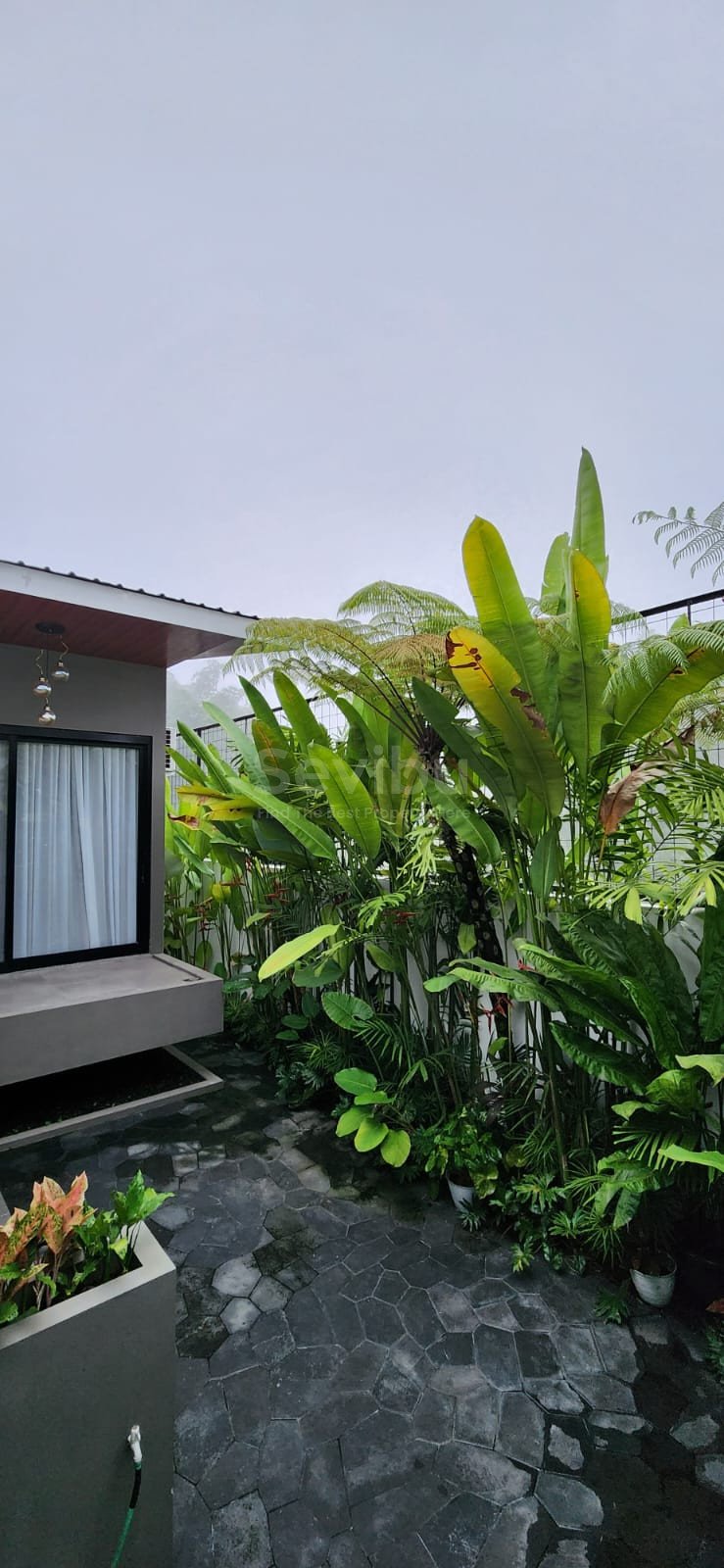 WhatsApp Image 2025-04-04 at 13.20.18