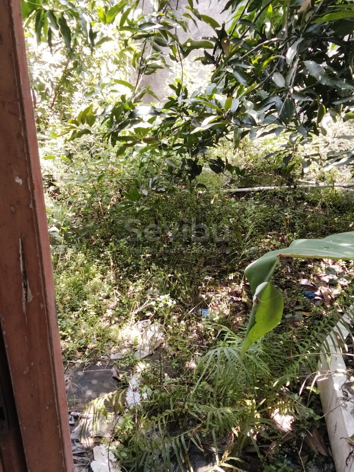 WhatsApp Image 2025-05-17 at 10.48.17