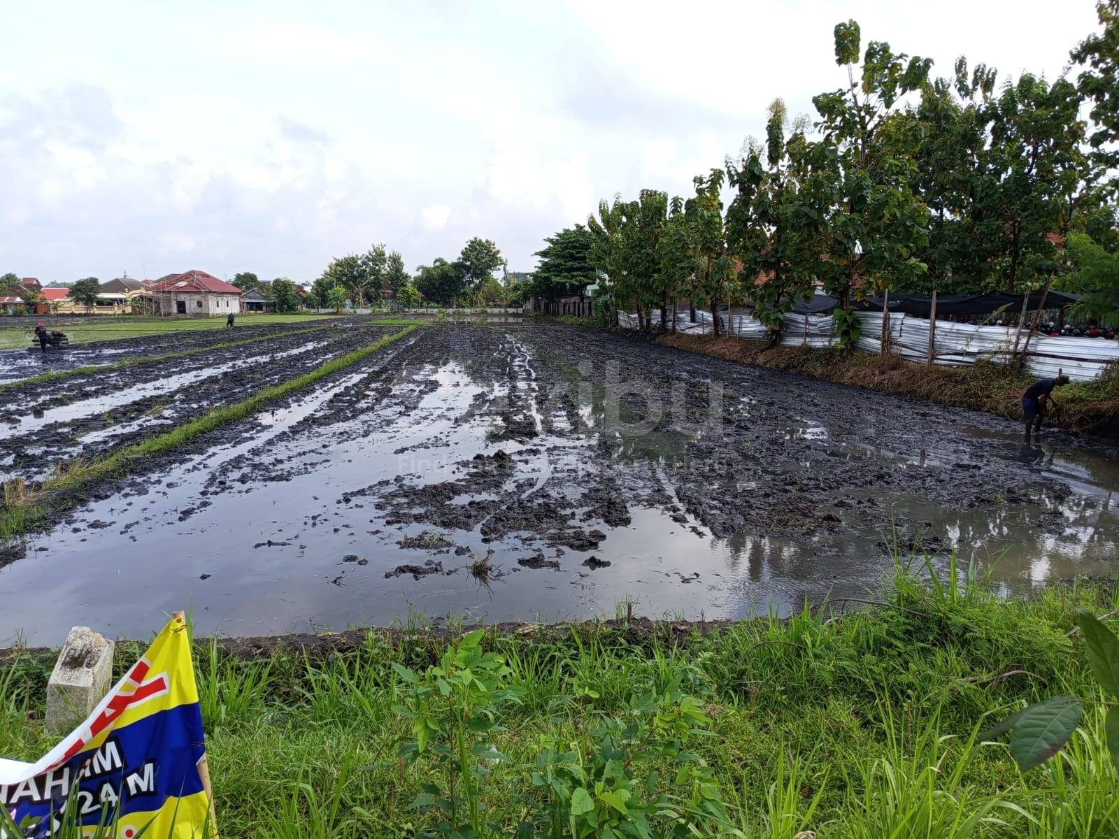 WhatsApp Image 2026-01-17 at 09.45.28