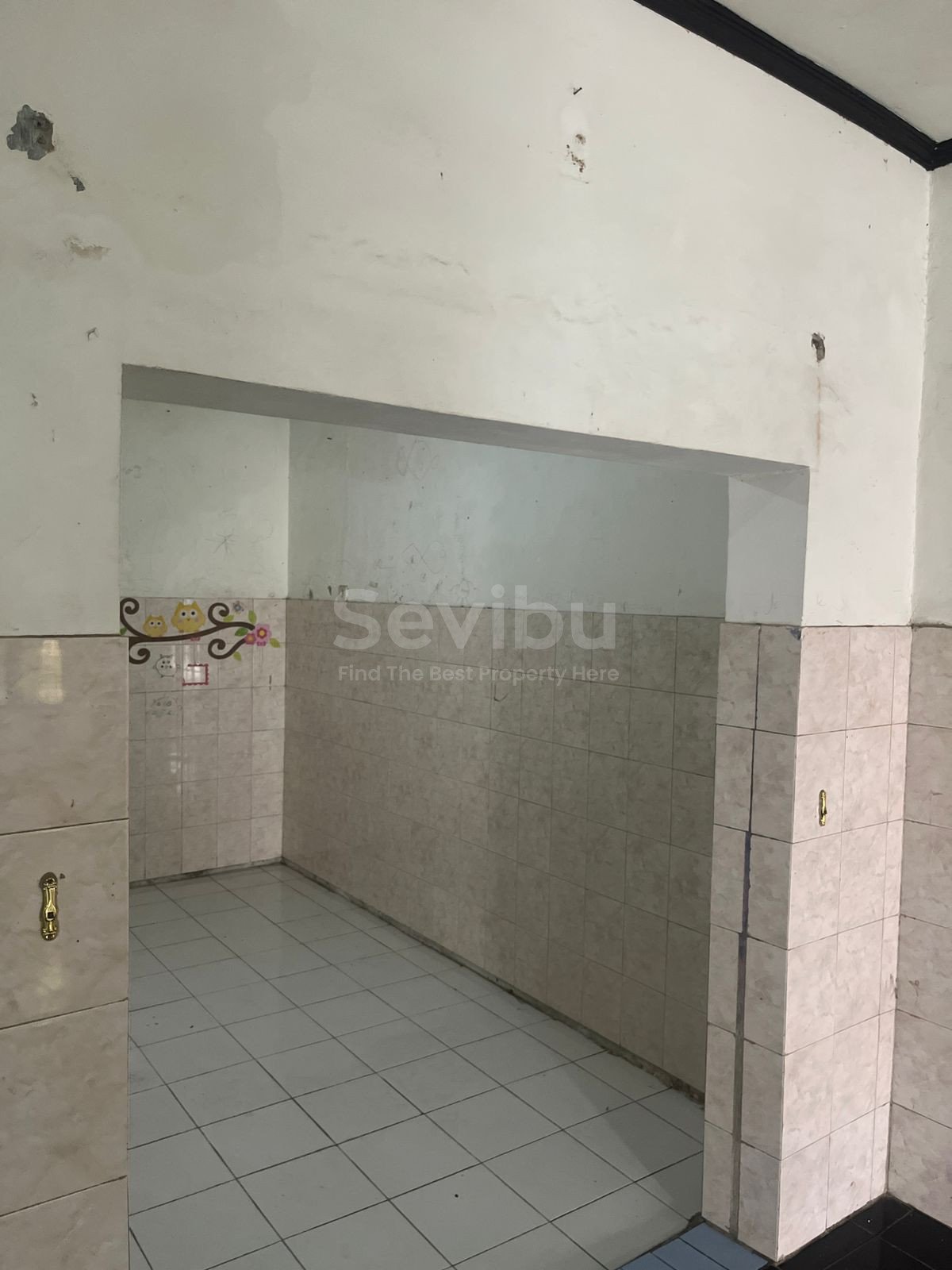 WhatsApp Image 2026-01-27 at 11.24.03