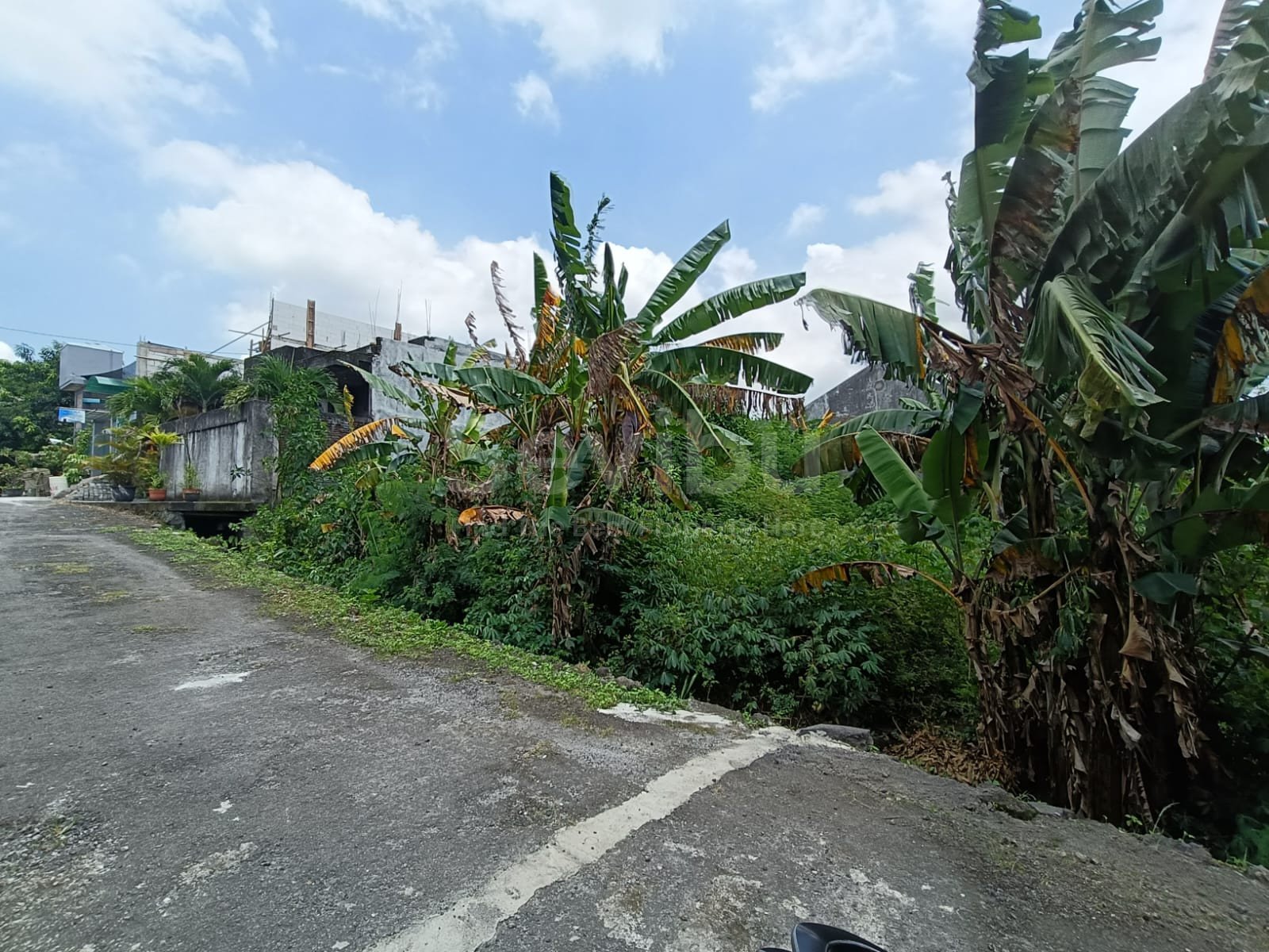 WhatsApp Image 2026-01-29 at 14.44.38 (1)