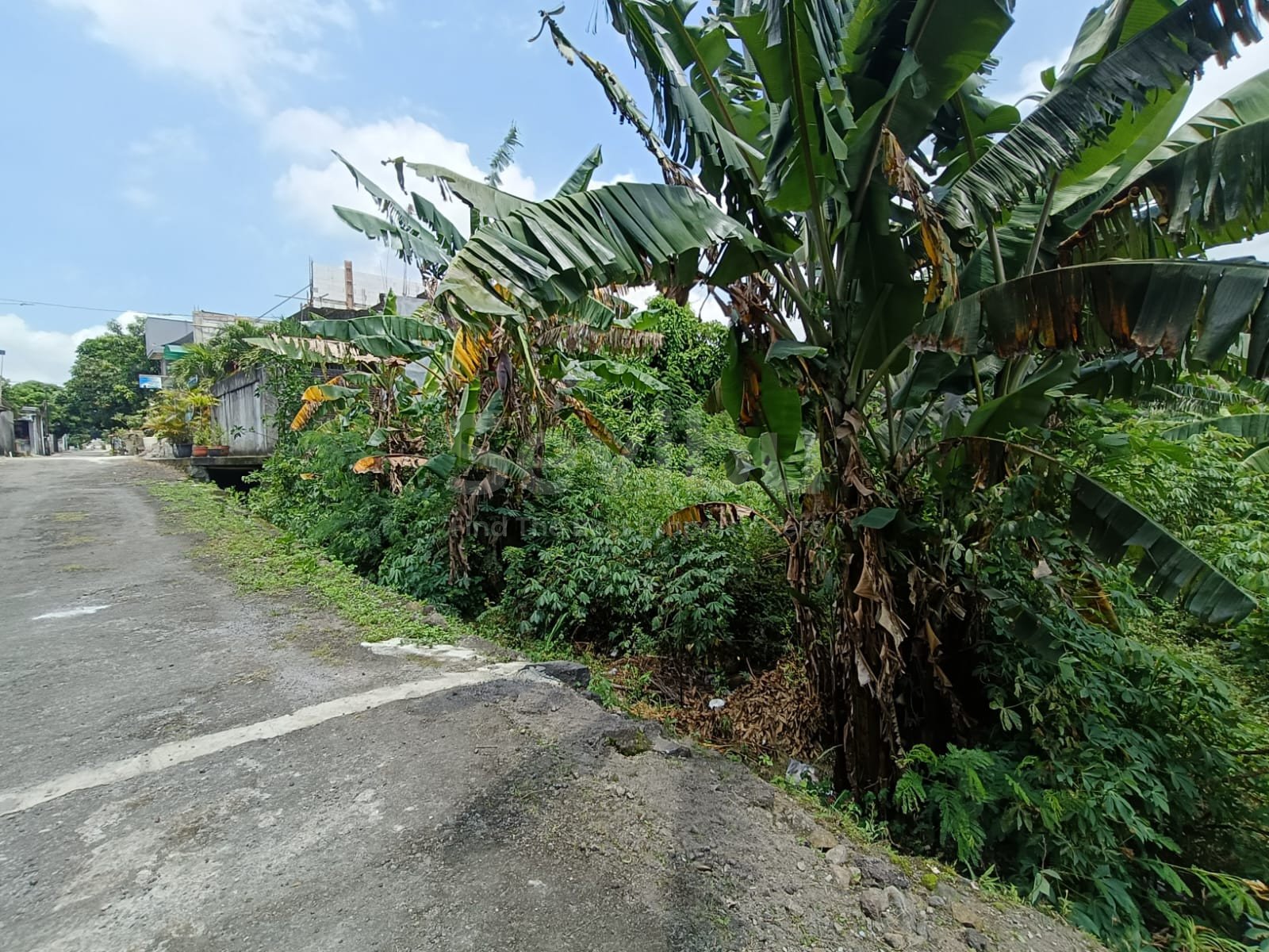 WhatsApp Image 2026-01-29 at 14.44.38