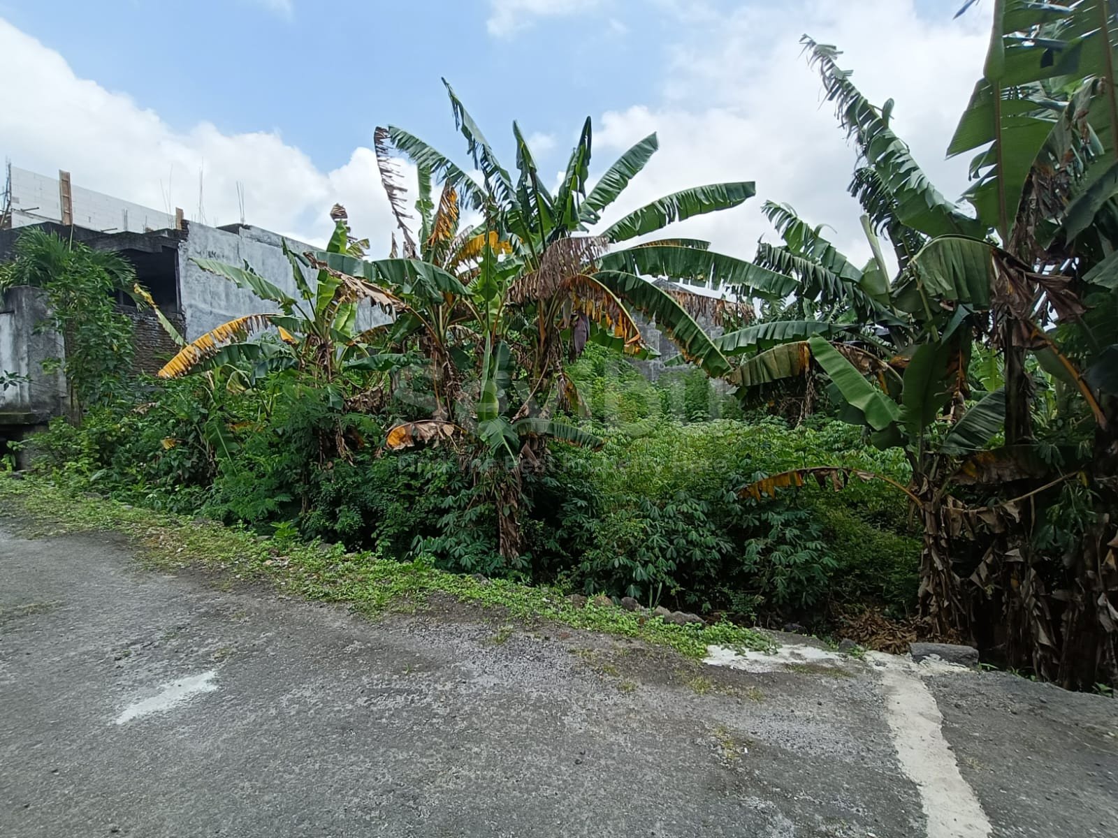 WhatsApp Image 2026-01-29 at 14.44.51