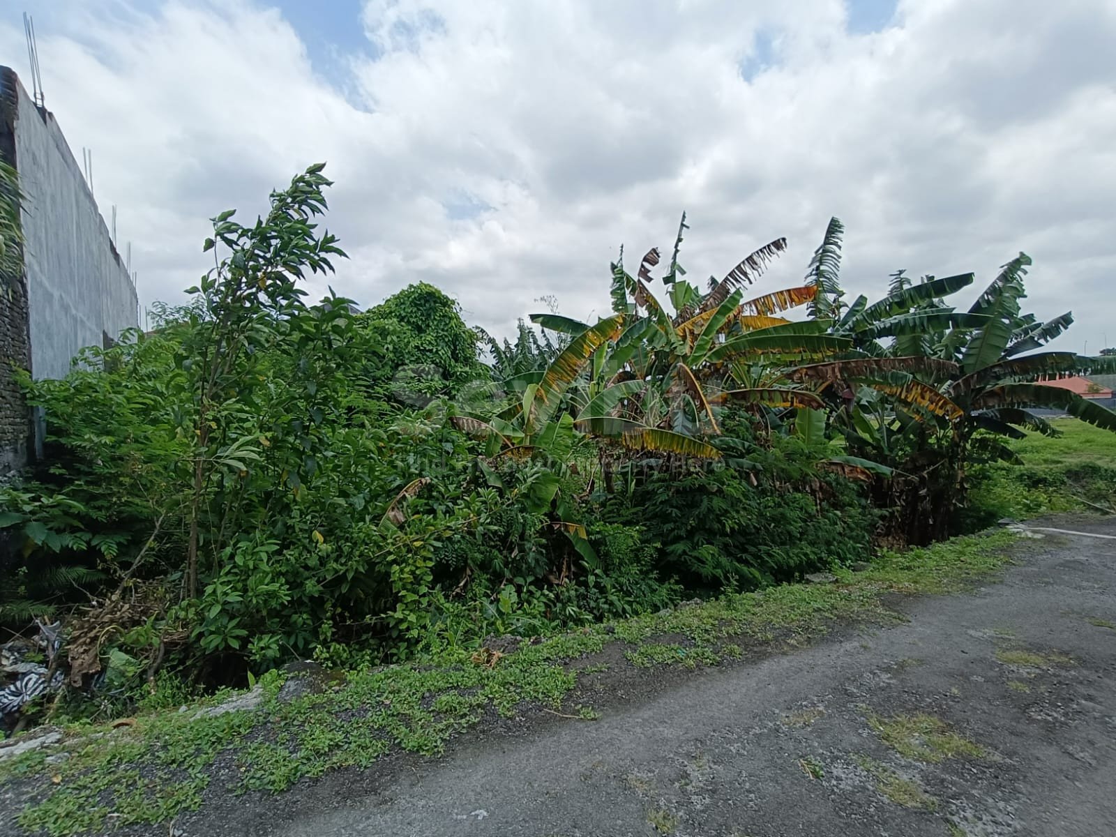 WhatsApp Image 2026-01-29 at 14.44.52 (1)