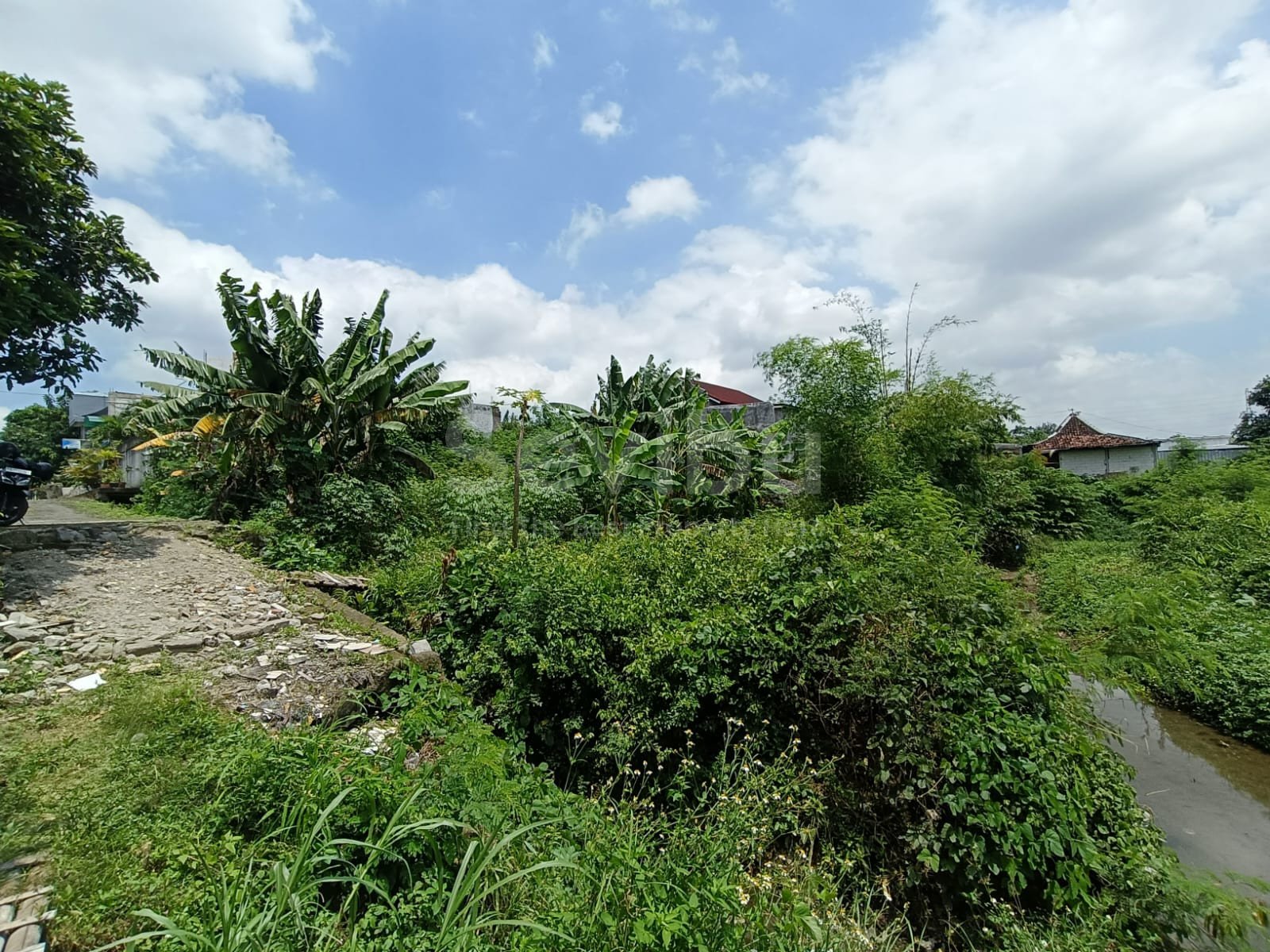 WhatsApp Image 2026-01-29 at 14.44.52 (2)