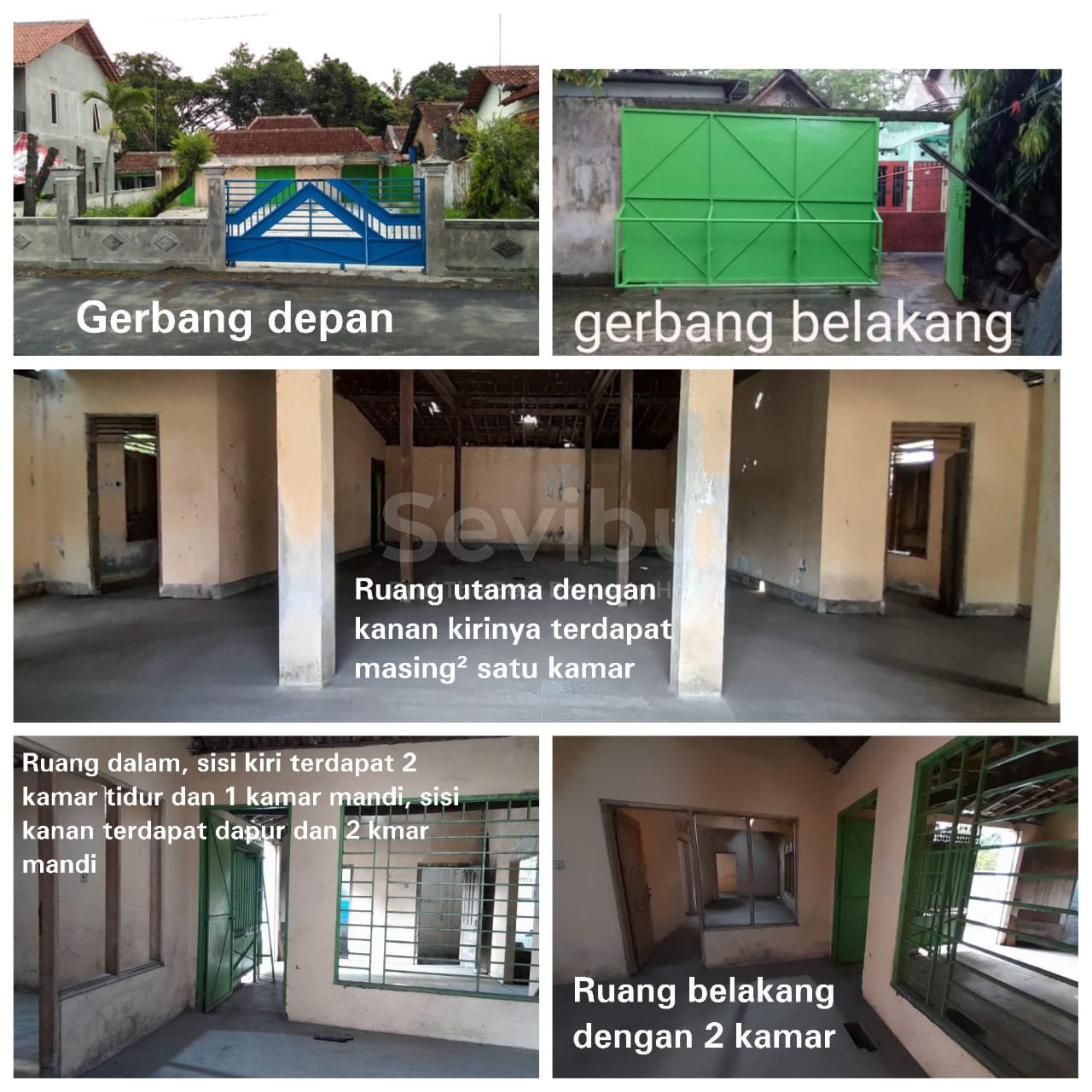 WhatsApp Image 2026-02-11 at 11.40.47