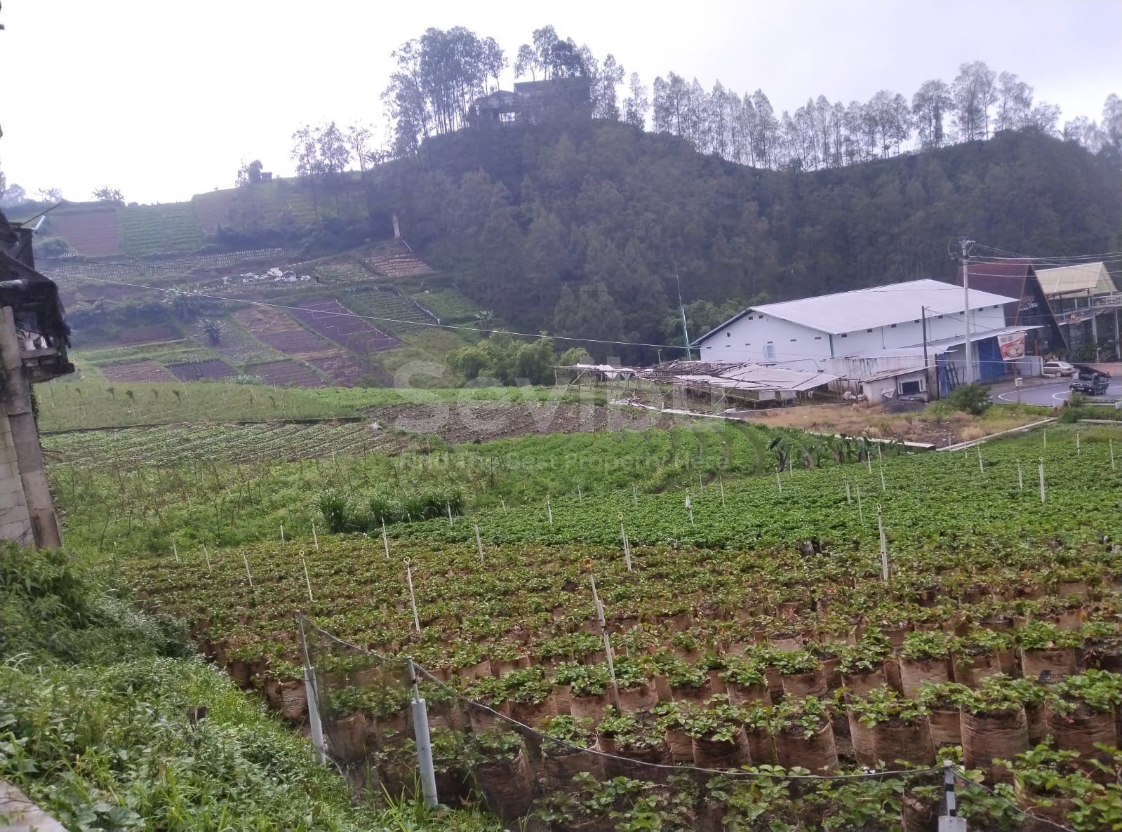 WhatsApp Image 2026-02-14 at 11.20.34