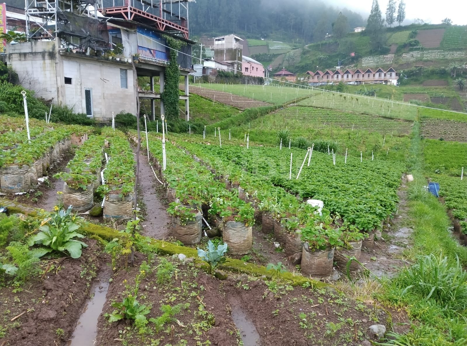 WhatsApp Image 2026-02-14 at 11.20.35