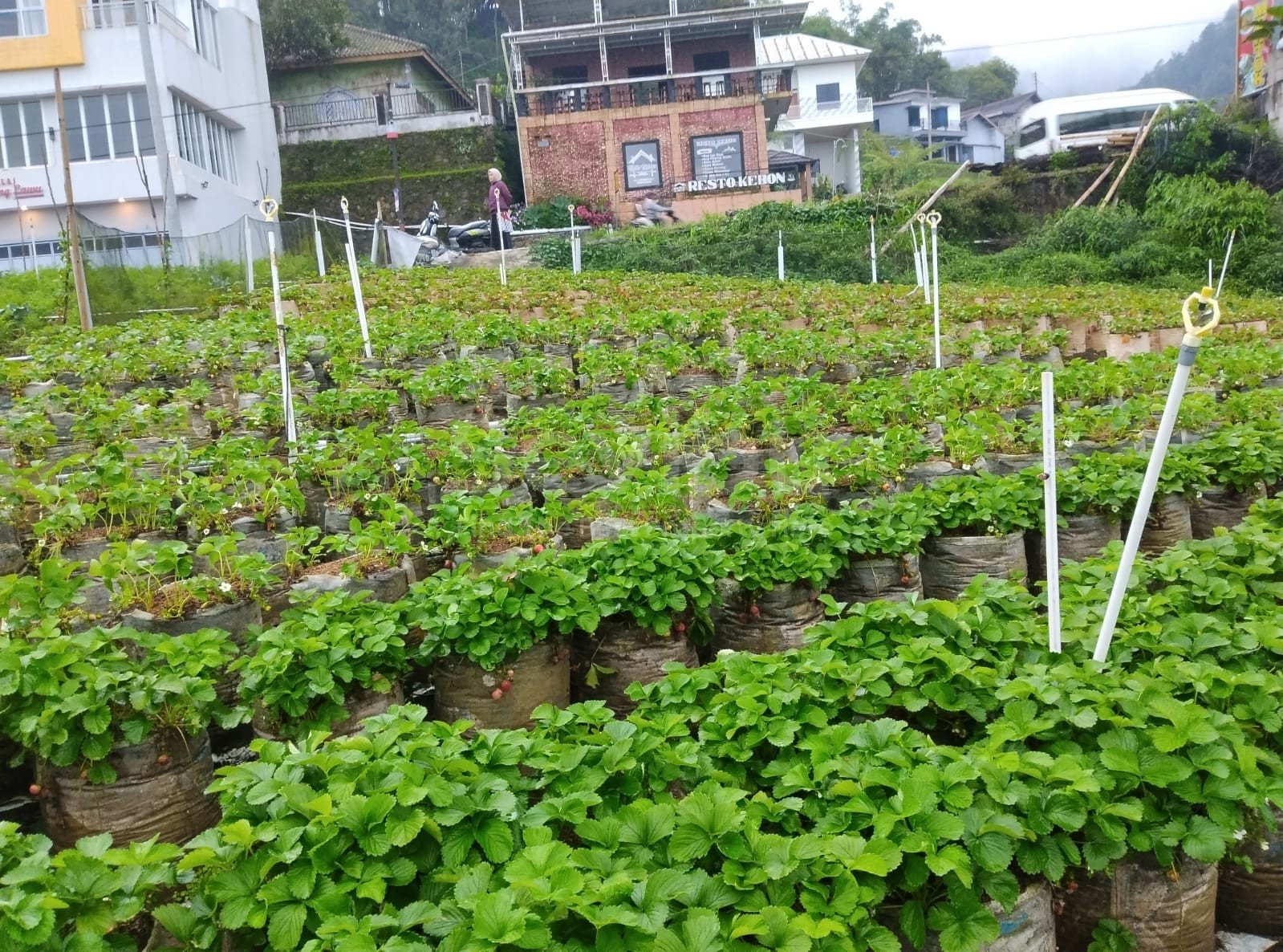 WhatsApp Image 2026-02-14 at 11.20.35(1)