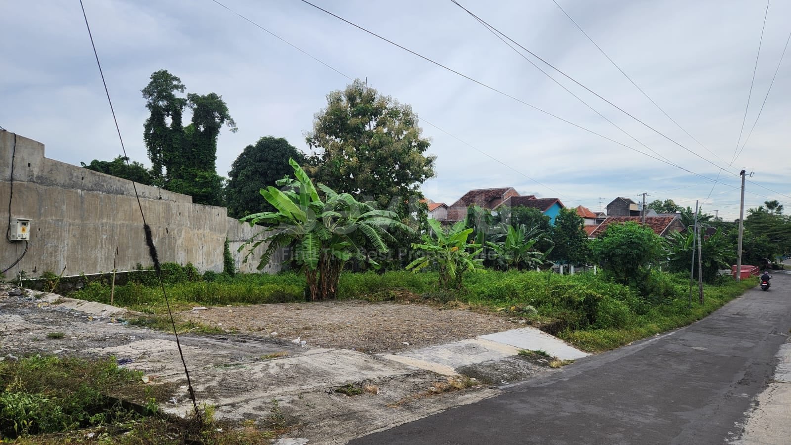 WhatsApp Image 2026-02-18 at 10.04.26 (1)