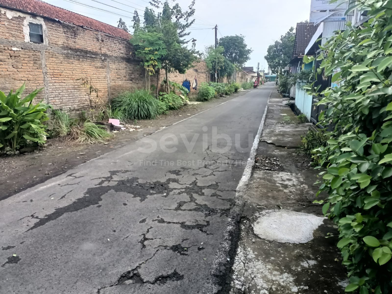 WhatsApp Image 2026-02-28 at 12.46.26 (2)