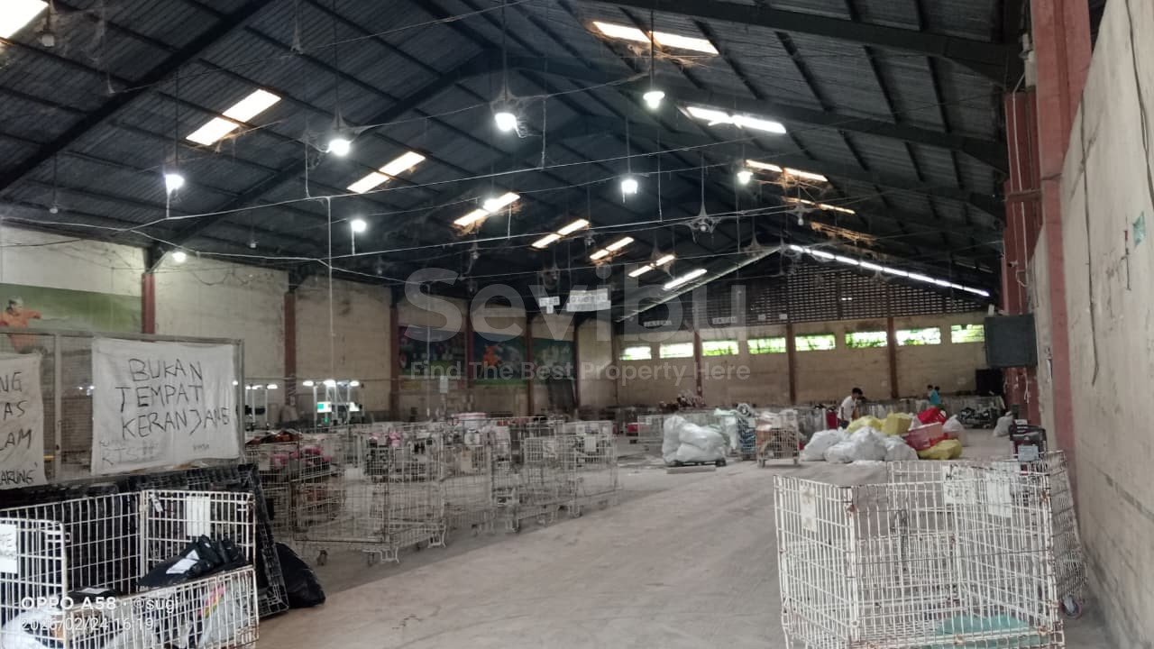 WhatsApp Image 2026-03-03 at 11.35.19