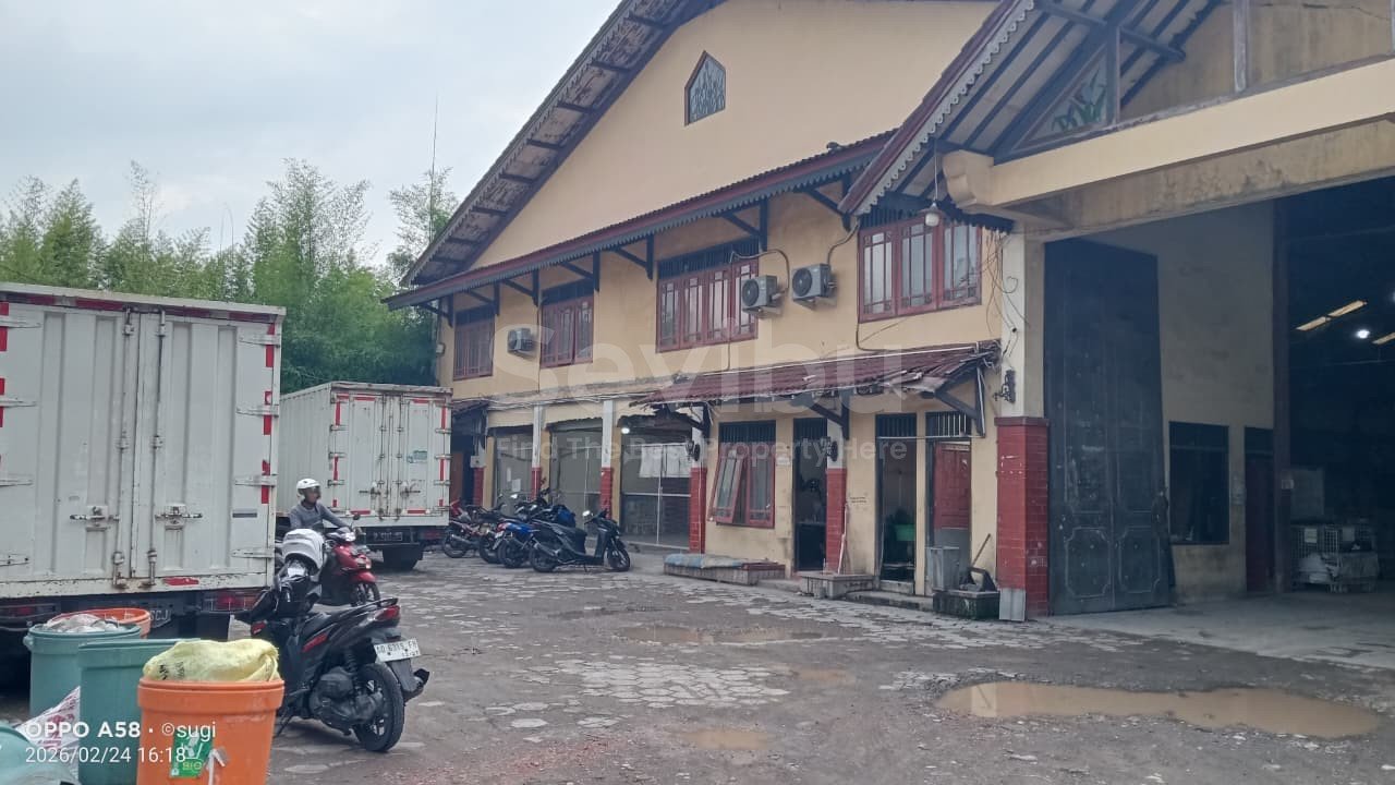 WhatsApp Image 2026-03-03 at 11.35.24