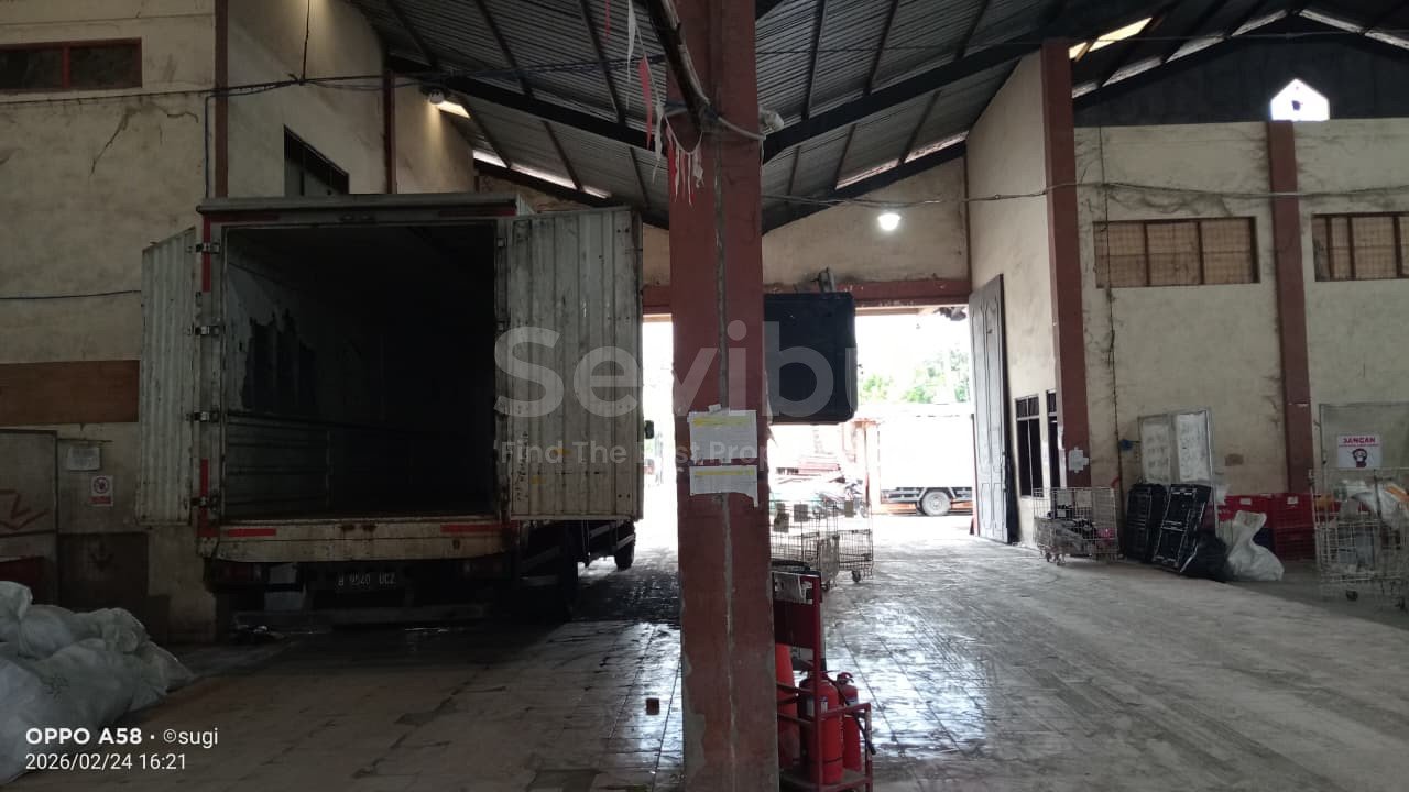 WhatsApp Image 2026-03-03 at 11.35.34