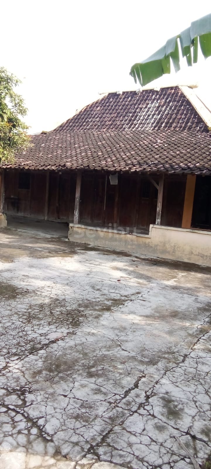 WhatsApp Image 2026-03-04 at 13.15.07 (1)