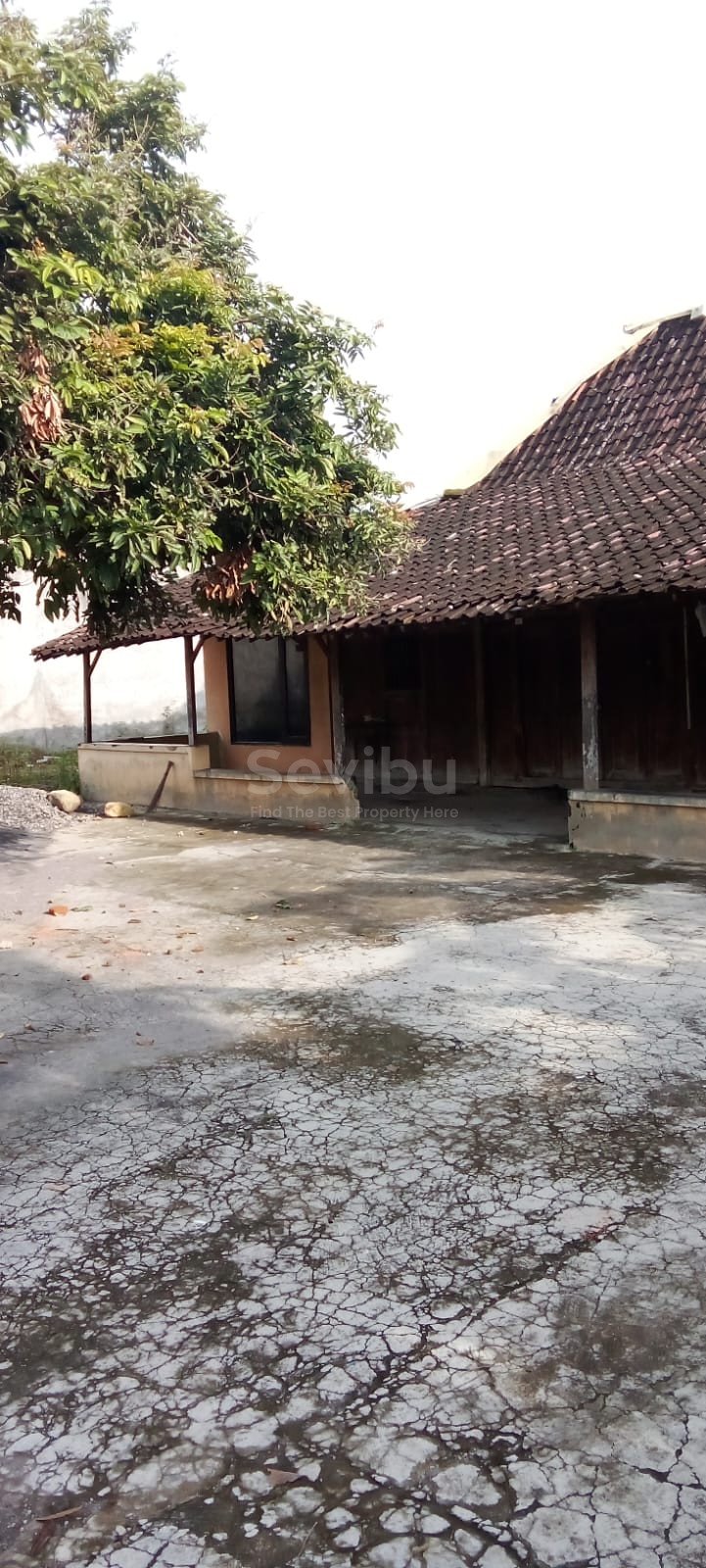 WhatsApp Image 2026-03-04 at 13.15.07 (2)