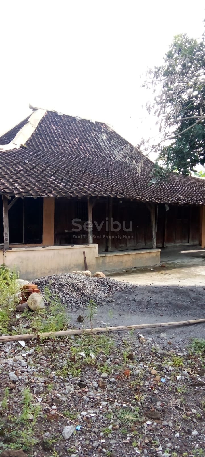 WhatsApp Image 2026-03-04 at 13.15.07