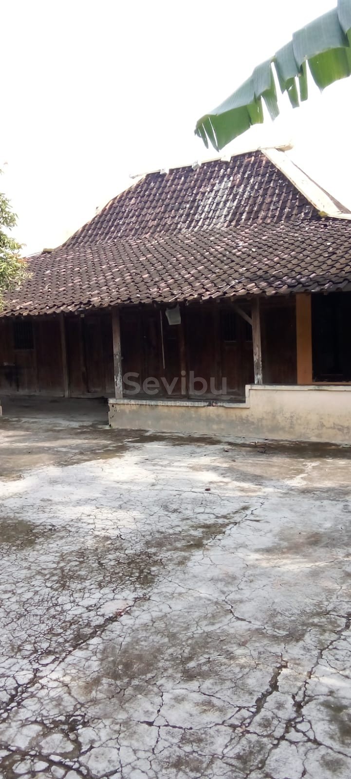 WhatsApp Image 2026-03-04 at 13.15.08 (1)