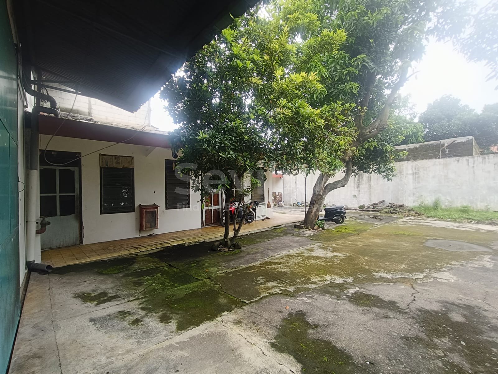 WhatsApp Image 2026-03-05 at 13.35.48