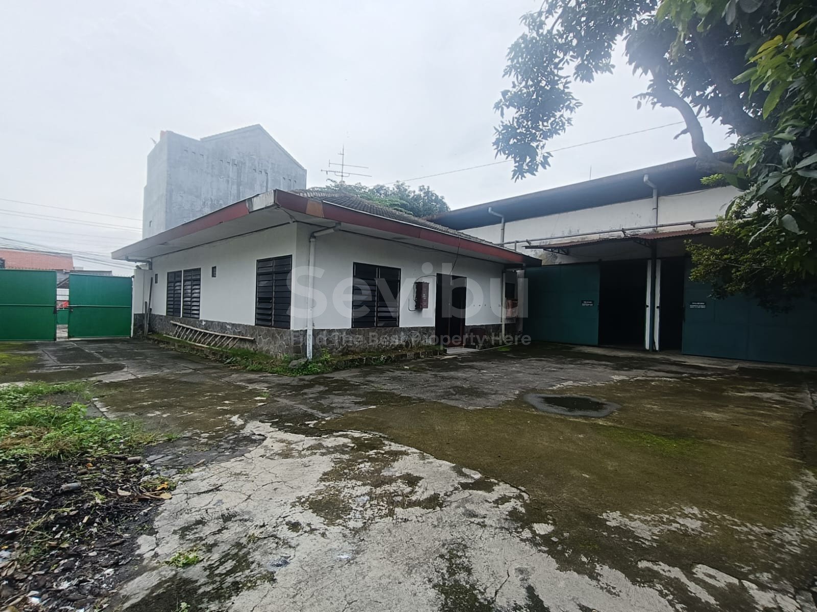 WhatsApp Image 2026-03-05 at 13.35.49