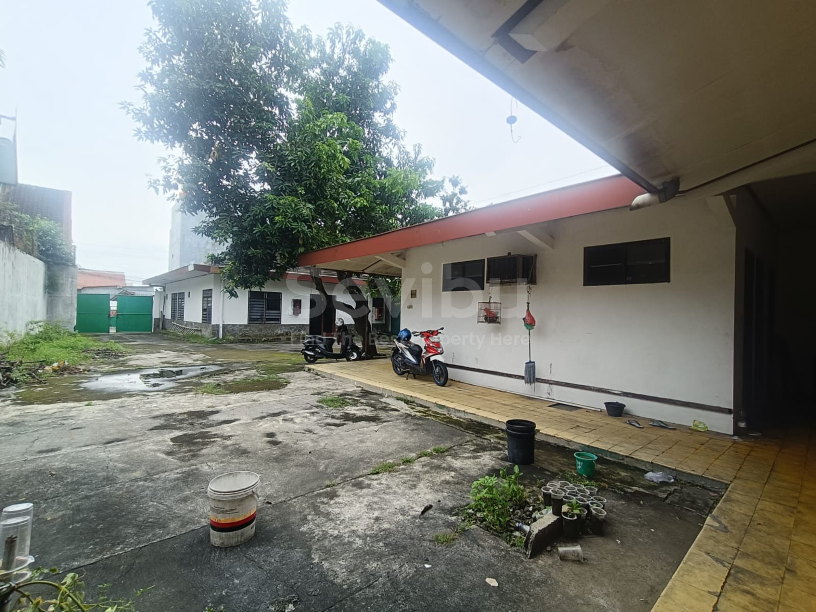 WhatsApp Image 2026-03-05 at 13.35.50 (1)