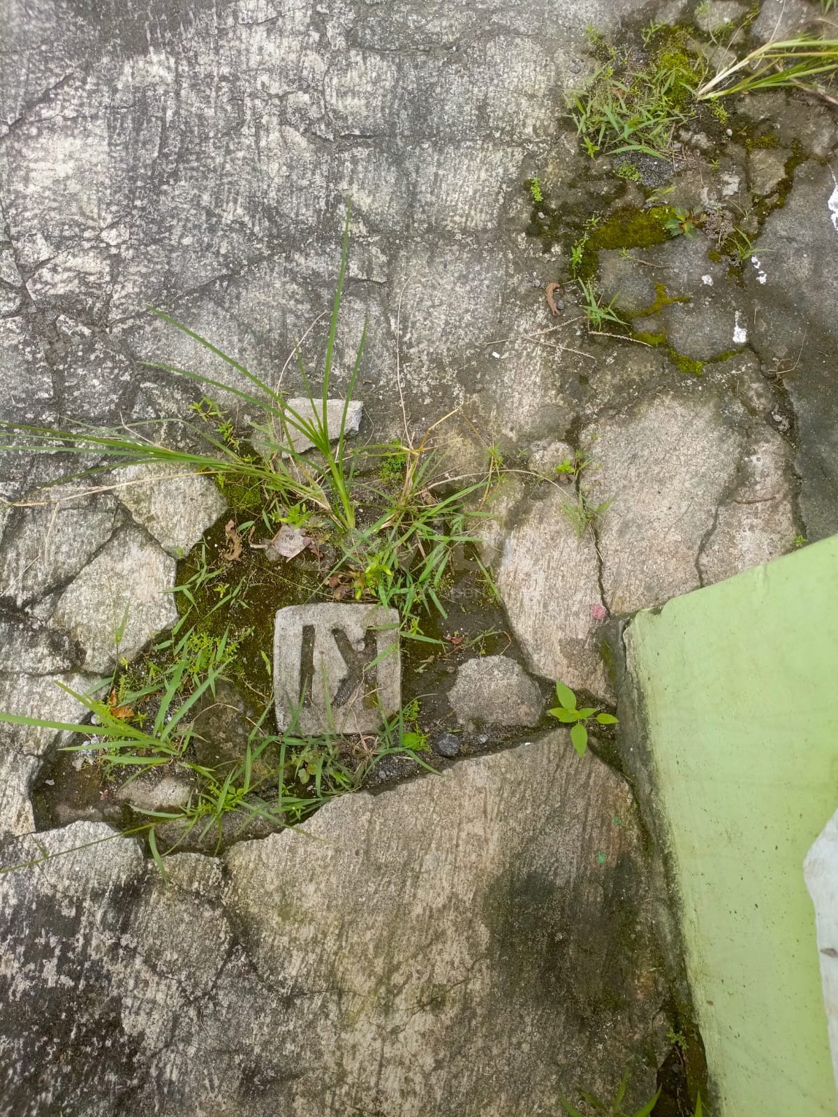 WhatsApp Image 2026-03-13 at 12.56.17 (1)