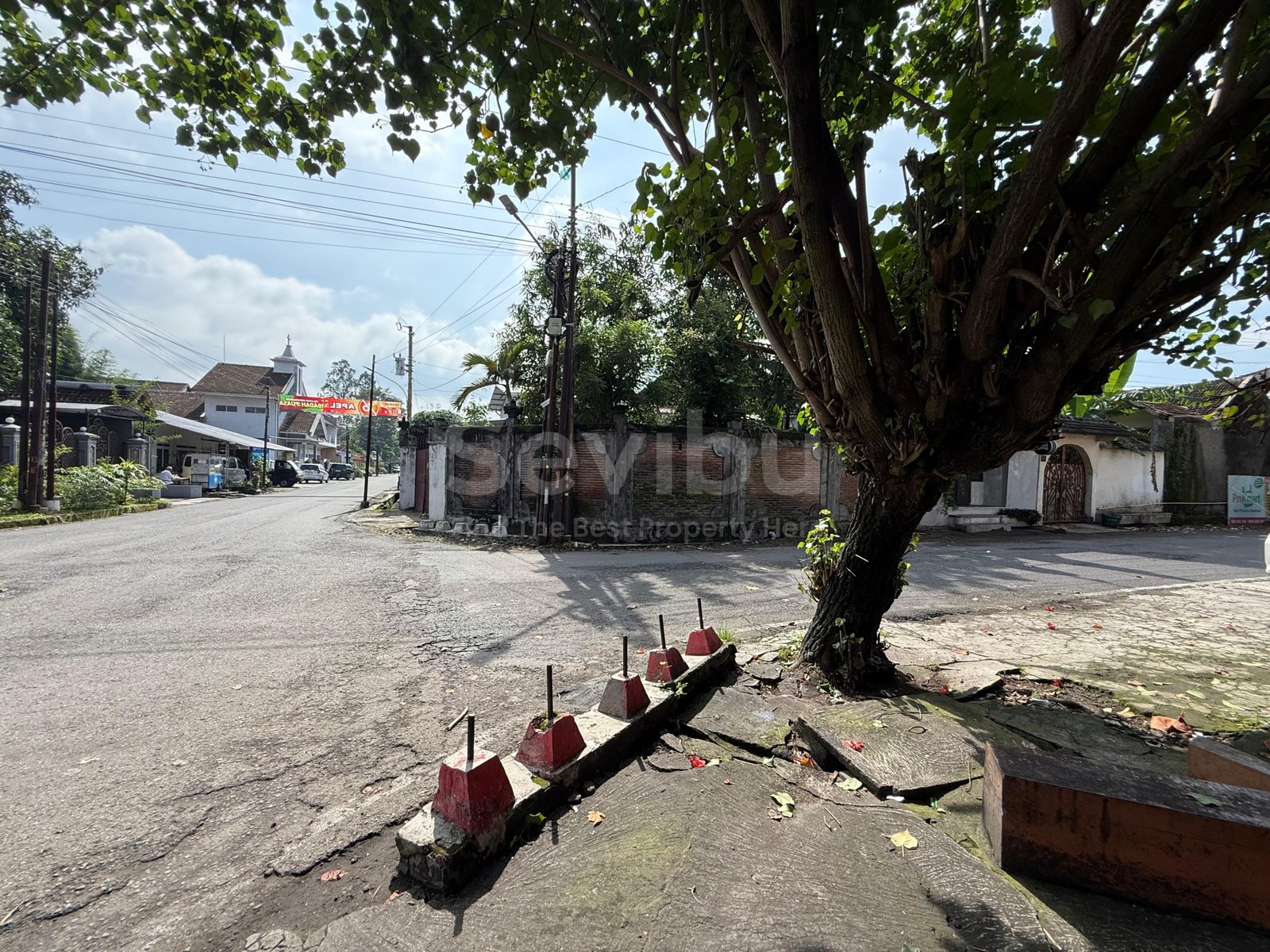 WhatsApp Image 2026-02-21 at 10.40.44 (1)