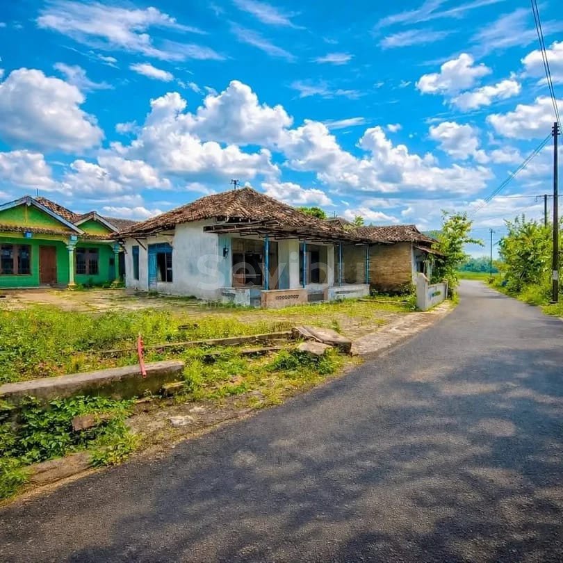 WhatsApp Image 2026-03-26 at 12.46.46 (2)