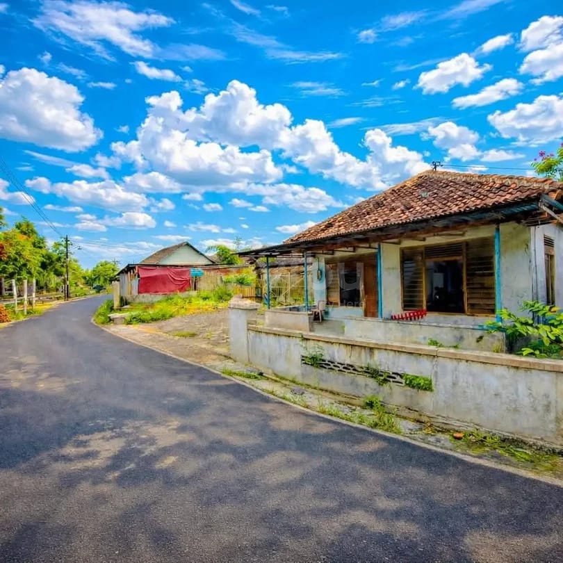 WhatsApp Image 2026-03-26 at 12.46.46 (3)