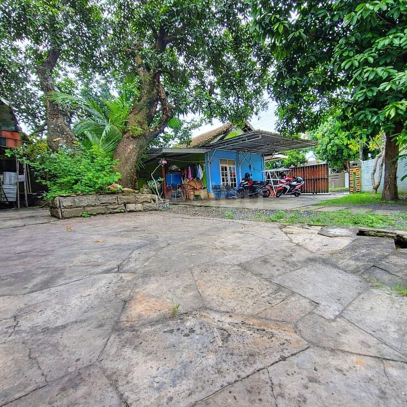 WhatsApp Image 2026-03-26 at 12.51.00 (2)