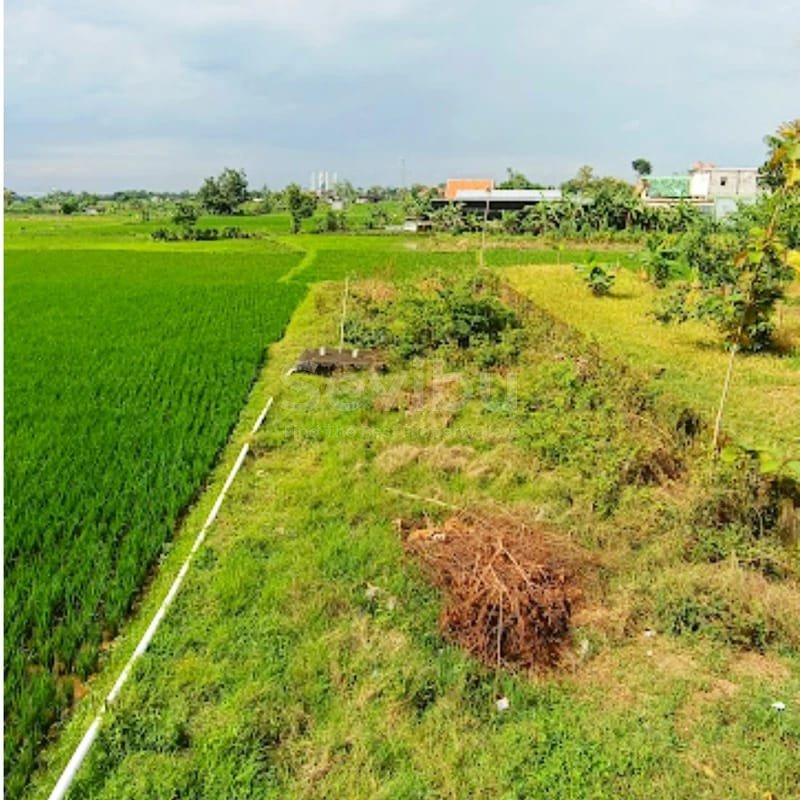 WhatsApp Image 2026-03-26 at 13.34.18