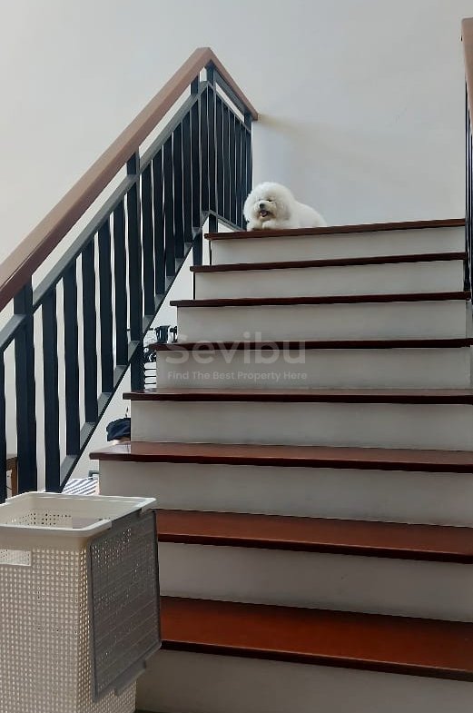 521