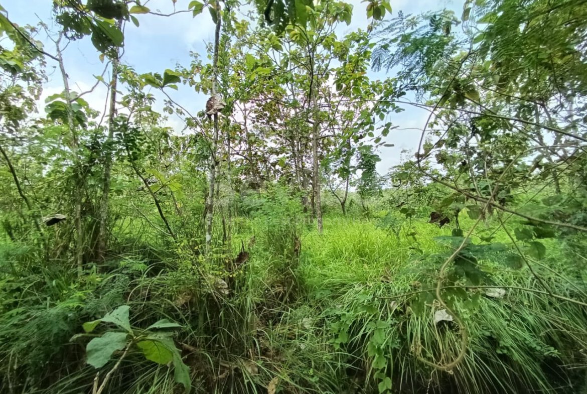 1170